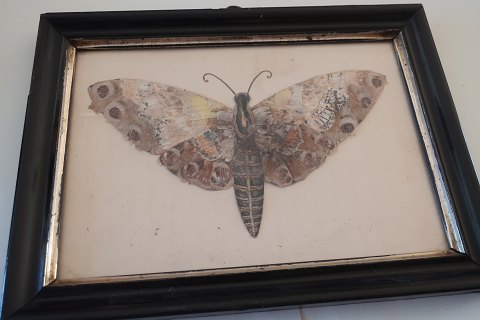 Eine alte Kunsstück - Eine Schmetterling i der originalen Rahme
Aus Flügel von einer Schmetterling gemacht
Sehr selten
Um 21,5cm x 16cm
In gutem Stande