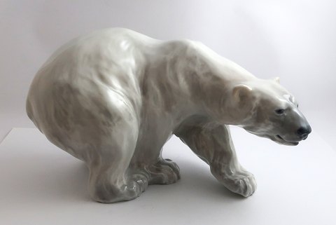 Royal Copenhagen. Porzellanfigur. Stehender Eisbär. Modell 1137. Länge 27 cm. (3 
Wahl)