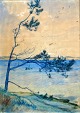 Vogel-Jørgensen, Eva (1901 - 1988) Dänemark: Eine Kiefer ...