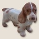 Moster Olga - 
Antik og Design 
presents: 
Bing & 
Grondahl
Cocker Spaniel
#2172
*300kr