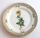 Lundin Antique 
präsentiert: 
Royal 
Copenhagen 
Flora Danica. 
Kuchenteller. 
Entwurf # 3552. 
Durchmesser 14 
cm. (1 ...