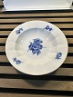 Stentoft Antik 
präsentiert: 
Royal 
Copenhagen 
Blaue Blume, 
tiefer Teller 
eckig Nr. 8547 
18 cm 
Tadelloser, ...