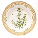 Aabenraa 
Antikvitetshandel 
præsenterer: 
Flora 
Danica 
tallerken. 
Royal 
Copenhagen 
Flora Danica 
middagstallerken 
...
