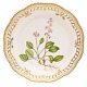 Aabenraa Antikvitetshandel präsentiert: Flora Danica Platte 3527. Hergestellt von Royal Copenhagen. "Pyrola ...
