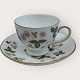 WedgwoodWilde ErdbeereTeetasse*150 DKK