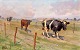 Bundgaard, Gunnar (1920 - 2005) Dänemark: Kühe auf einer ...