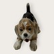 Bing & GrøndahlBeagle-Welpe#2564*475 DKK