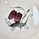 sub: 2